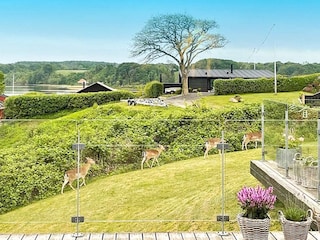 Vakantiehuis Kolding Buitenaudio-opname 3