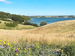 Casa per le vacanze Kolding Registrazione all'aperto 7
