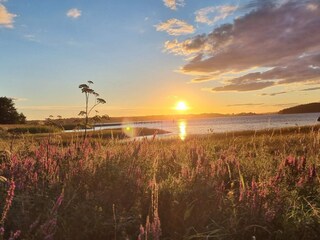 Ferienhaus Havstenssund  26