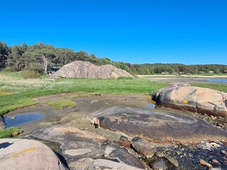 Ferienhaus Havstenssund  30