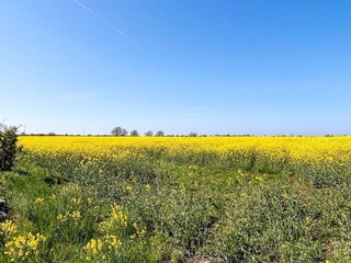 Ferienhaus Borgholm  16