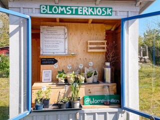 Vakantiehuis Borgholm  7