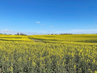Holiday house Höör  23