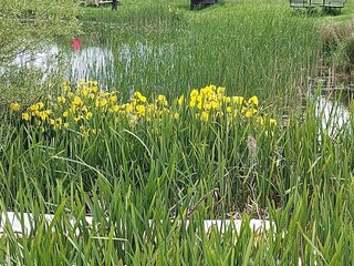 Casa per le vacanze Humble  31