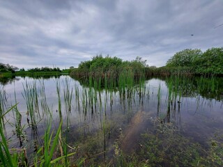 Maison de vacances Humble  14