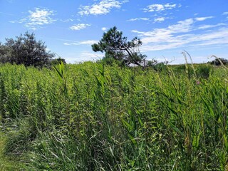 Vakantiehuis Karrebæksminde  14