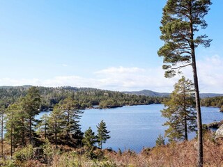 Ferienhaus Risør  28