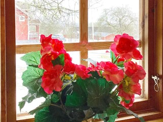 Vakantiehuis Flisby  18