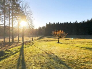 Vakantiehuis Flisby  13