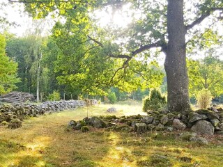 Ferienhaus Flisby  25