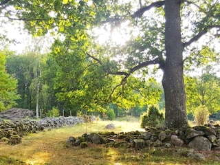 Holiday house Flisby  12