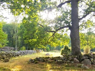 Vakantiehuis Flisby  6
