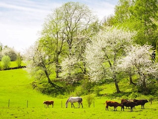 Holiday house Flisby  13