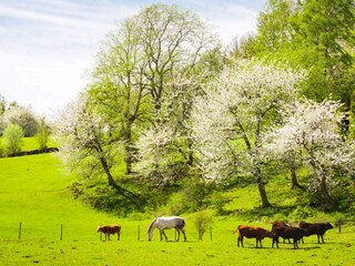 Holiday house Flisby  29