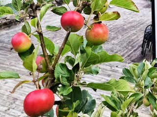 Ferienhaus Masfjorden Außenaufnahme 4