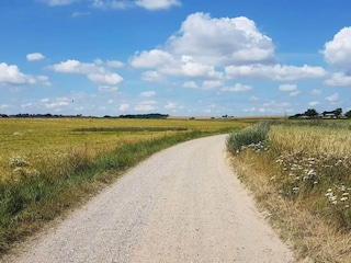 Ferienhaus Sønderballe  29