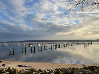 Ferienhaus Sønderballe  38