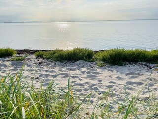Vakantiehuis Bogense Buitenaudio-opname 6