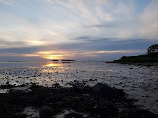 Ferienhaus Bogense  47