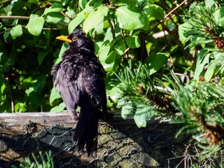 Vakantiehuis Hölö  12