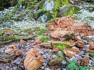 Vakantiehuis Hölö  11