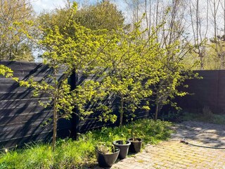 Casa per le vacanze Sjællands Odde  25