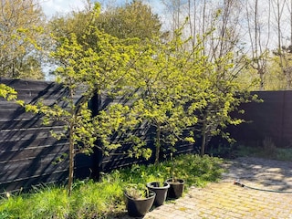 Vakantiehuis Sjællands Odde  26