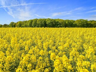 Casa per le vacanze Sæby  24