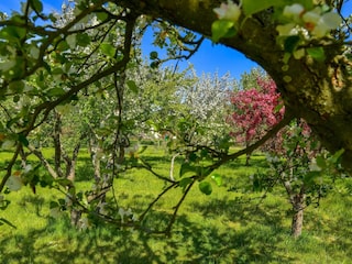 Maison de vacances Sæby  20