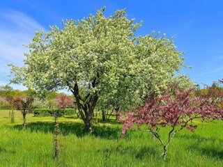 Ferienhaus Sæby  33