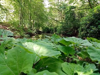 Casa per le vacanze Sæby  26