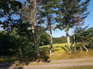 Casa per le vacanze Sæby  38