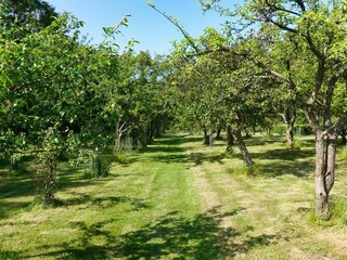 Casa per le vacanze Sæby  40