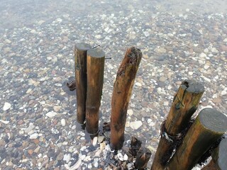 Maison de vacances Humlum  31