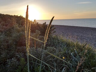 Maison de vacances Humlum  22
