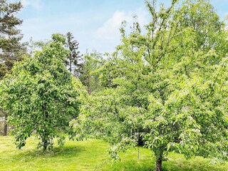 Vakantiehuis Grisslehamn Buitenaudio-opname 2