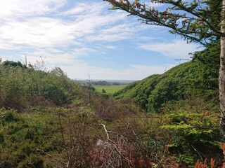 Ferienhaus Tranum Strand  7