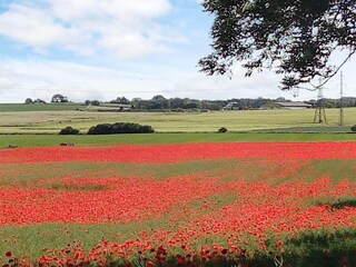Vakantiehuis Ølsted Buitenaudio-opname 4