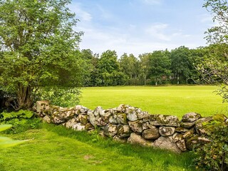 Ferienhaus Skällinge Außenaufnahme 2