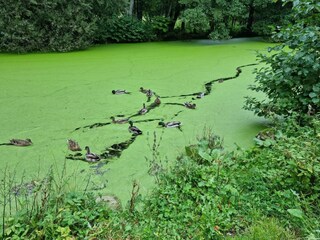 Vakantiehuis Als  11