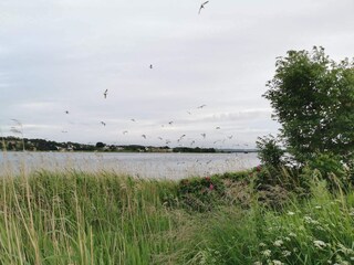 Vakantiehuis Als  23