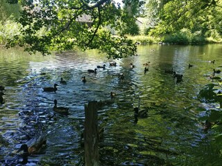 Vakantiehuis Als  24