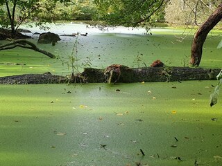 Vakantiehuis Als  33