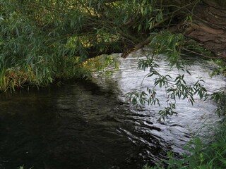 Vakantiehuis Als  30