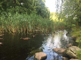 Vakantiehuis Als  34