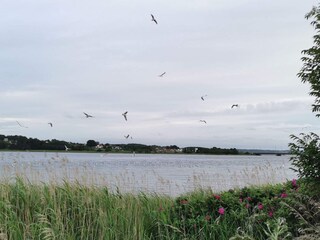 Vakantiehuis Als  16