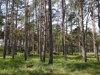 Vakantiehuis Skäret  35