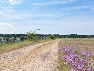 Ferienhaus Löttorp  14