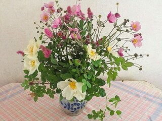 Holiday house Grisslehamn  26
