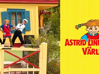 Vakantiehuis Rimforsa  18